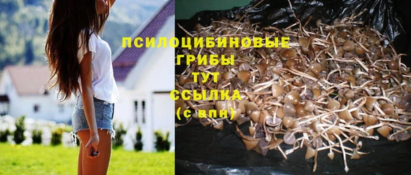 apvp Покачи