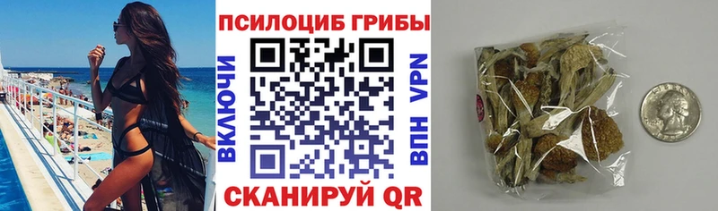Галлюциногенные грибы MAGIC MUSHROOMS  Асино 